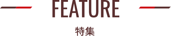 Feature