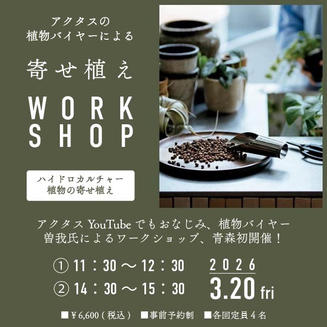 ＼青森初開催！／アクタス植物バイヤー曽我氏による寄せ植えワークショップ